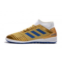 Kopačky Adidas Predator  19.3 IC Zlatý Modrý Bílý